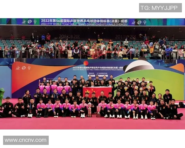 成都与西安乒乓球队赛后分析力量对比与战术探讨